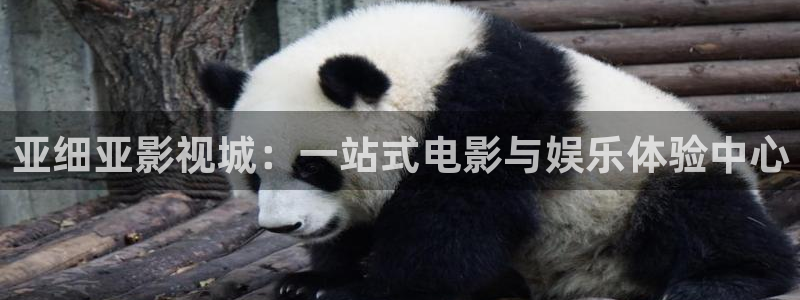 麥田影院官網入口